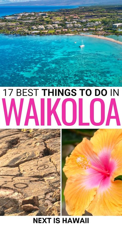 17 Incredible Things to Do in Waikoloa (& Nearby!) Kohala Coast Hawaii, Big Island Hawaii Beaches, Waikoloa Hawaii, Hilton Waikoloa Village, Hawaii Trip Planning, Big Island Travel, Waikoloa Village, Hawaii Activities, Hawaiian Travel