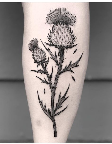 Thistle Tattoo Black, Thistle Flower Tattoo, Scottish Thistle Tattoo, Scottish Tattoo, Herbal Tattoo, Scottish Tattoos, Thistle Tattoo, Thistles Art, Tattoo Black And White