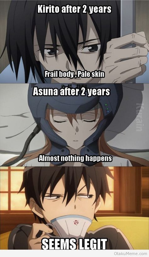 15 of the Funniest Sword Art Online Memes - 15 Durarara!!, Sao Memes, Otaku Meme, Anime Jokes, Anime Memes Funny, Noragami, Anime Meme, I Love Anime, Monster Hunter