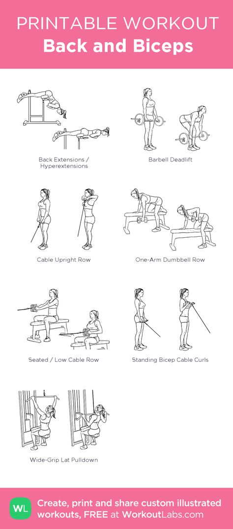 Back And Bicep Machine Workout, Bicep Machine Workout, Back Biceps Abs Workout, Back And Bicep Cable Workout, Back And Bicep Workout Gym For Women, Bicep And Back Workout, Biceps And Back Workout, Back And Bis Workout, Bicep Cable Workout