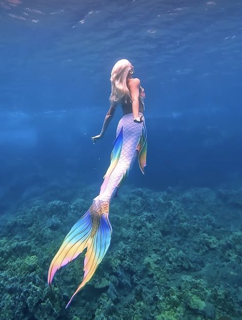 Mermaid Photography Photo Shoots, Rainbow Mermaid Tail, Aesthetic Mermaid, Siren Core, Realistic Mermaid, Fairytale Creatures, Mermaid Photography, H2o Mermaids, Sea Dress