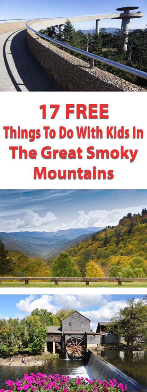 Smokey Mountains Vacation, Gatlinburg Vacation, Smoky Mountains Vacation, Camping Trailers, Tennessee Travel, Tennessee Vacation, Things To Do With Kids, The Great, Mountain Vacations