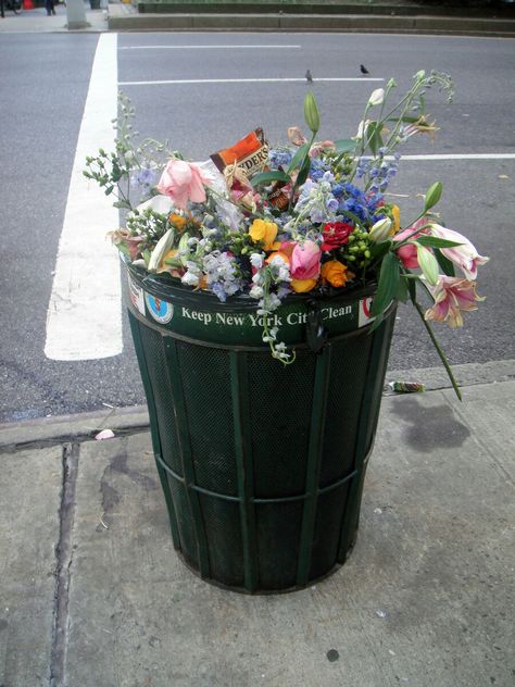 flowers in the rubbish bin Emily + Core + Aesthetic, My Funny Valentine, Love Flowers, My Flower, Pretty Flowers, Flower Power, Aesthetic Pictures, Succulent, Trash Can