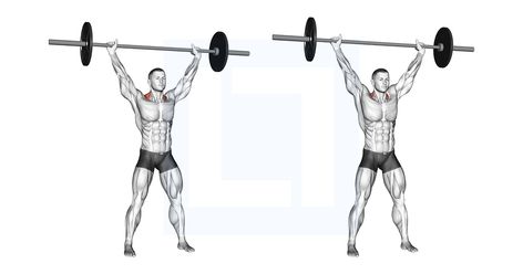 Traps Workout, Barbell Workout, Smith Machine, Workout Warm Up, Improve Posture, Back Exercises, Muscle Groups, Resistance Band, Kettlebell