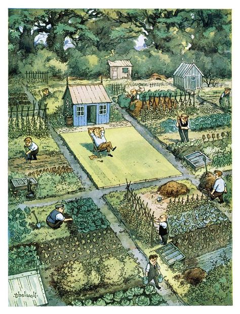 Man Relaxing, Allotment Gardening, Vegetable Farming, Farm Layout, Garden Illustration, Potager Garden, Garden Design Layout, Garden Design Plans, Creative Gardening