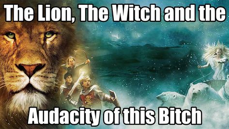 Witch Meme, Work Advice, The Audacity, Chronicles Of Narnia, The Witch, Image Macro, Know Your Meme, Narnia, The Lion