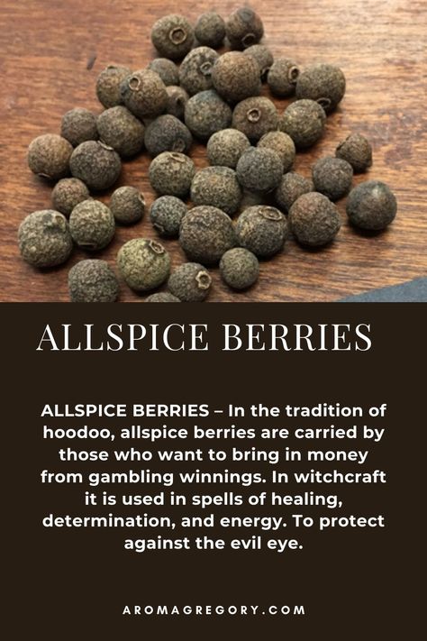 ALLSPICE BERRIES – In the tradition of hoodoo, allspice berries are carried by those who want to bring in money from gambling winnings. In witchcraft it is used in spells of healing, determination, and energy. To protect against the evil eye. Herbal Correspondences, Herb Magick, Native American Rituals, Magick Herbs, Witches Garden, Hoodoo Spells, Witch Herbs, Metaphysical Store, Traditional Witchcraft