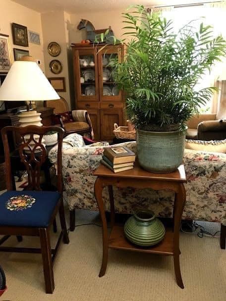 Miss Bee's Haven Apartment Simple, Farmhouse Vibes, Sitting Rooms, Living Vintage, Granny Flat, My Apartment, Country Living Room, Home Decorating Ideas, Traditional Living Room