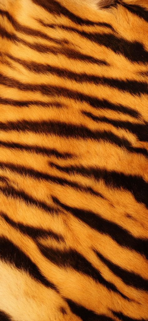 Animal Print Background Wallpapers, Tiger Wallpaper Iphone Aesthetic, Tiger Print Pattern, Tiger Print Aesthetic, Aesthetic Animal Print Wallpaper, Tiger Aesthetic Wallpapers, Funky Backgrounds Wallpapers, Animal Print Wallpaper Iphone, Tiger Skin Wallpaper