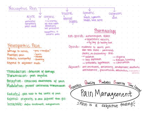 Pain Nursing Notes, Pain Management Nursing, Nursing Concepts, Medical Essentials, Nursing School Studying Cheat Sheets, Nursing Study Tips, Nursing School Inspiration, Nursing School Essential, Basic Anatomy And Physiology