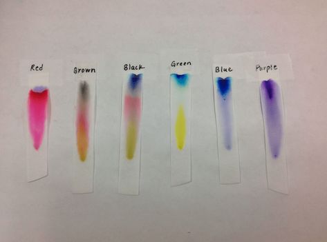 Awesome Chemistry Experiments For Kids To Do At Home Experiments At Home, Paper Chromatography, Cool Chemistry Experiments, Chemistry Experiments For Kids, Nanny Activities, Chemistry For Kids, Learn Science, Cool Experiments, Experiments For Kids