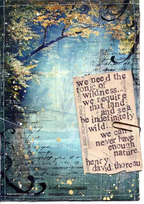 We need the tonic of wildness... we require that land and sea be indefinitely wild. We can never have enough of nature.” - Henry David Thoreau IMPORTANT: This image is exactly 7x10, centered on 11x14 fine art paper. This was the size of the original painting and the dimensions cannot Citation Nature, Nature Quote, Thoreau Quotes, Life Quotes Love, Henry David Thoreau, Back To Nature, Nature Quotes, Paper Print, Mixed Media Collage