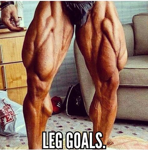 Male Anatomy, Build Muscle Fast, Muscular Legs, Muscle Builder, Muscle Anatomy, Bodybuilders Men, Leg Muscles, Gym Flooring, Bodybuilding Motivation