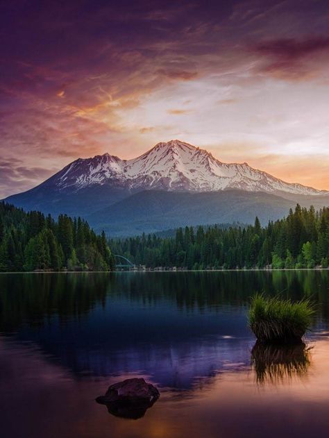 Mt Shasta's reflection in lake Siskiyou Lake Shasta, Shasta California, Sacred Energy, Hidden City, Closet Wall, Mt Shasta, Mount Shasta, Beautiful Skies, Alpha Female