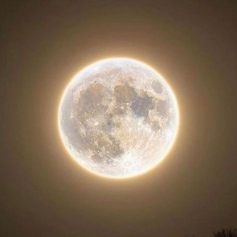 The Moon Is Beautiful, Look At The Moon, Sky Moon, Moon Pictures, Moon Photography, Moon Lovers, Photo Wall Collage, Sweet Nothings, Night Aesthetic