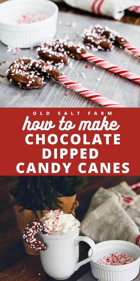 Make these yummy and easy chocolate dipped candy canes in no time! Perfect for gift giving, serving at parties, hot chocolate bars, and enjoying with your hot chocolate throughout the holidays! Chocolate Dipped Candy, Dipped Candy, Chocolate Dip, Holiday Baking Christmas, Christmas Breakfast Recipe, Candy Cane Crafts, Christmas Bread, Christmas Dinner Menu, Hot Chocolate Bars