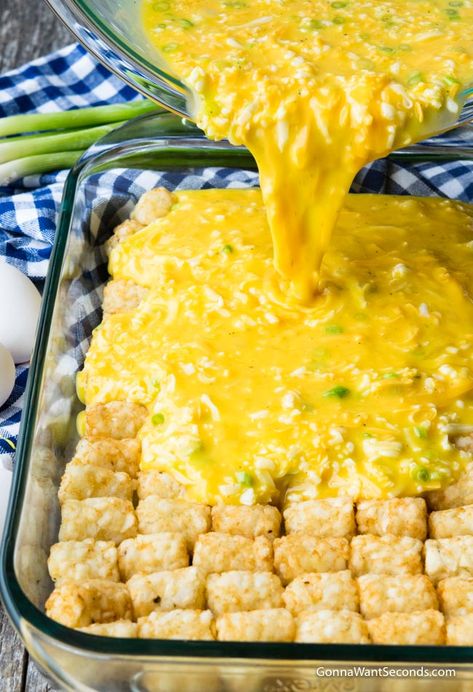 Tot Breakfast Casserole, Tater Tot Breakfast Casserole, Casserole Healthy, Casserole Breakfast, Menu Sarapan Sehat, Tater Tot Breakfast, Family Breakfast, Tater Tots, Breakfast Casseroles