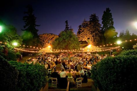 17 Affordable East Bay Wedding Venues | See Prices | California Piedmont Community Hall, Wedding Venues California, Floral Ceiling, Bay Area Wedding Venues, Wedding Reception Hall, Community Hall, Camp Lucy, Redwood Wedding, Travel Ireland