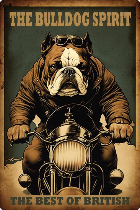 British Bulldog Tattoo, Emily English, Biker Dog, Funny Bulldog, Urban Logo, Bulldog Tattoo, Bulldog Pics, Image Reference, Strap Bodysuit