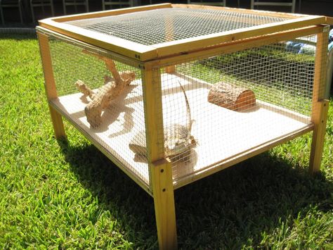 outdoor cage fro bearded dragon. Might make a small one for outside for when I get my dragon. With a few 2x4's and chicken wire it should be good Diy Breaded Dragon Enclosure, Bearded Dragon Playground, Bearded Dragon Play Pen, Outdoor Reptile Enclosure, Beardie Enclosure, Bearded Dragon Enclosure Ideas, Diy Bearded Dragon Enclosure, Lizard Cage, Dragon Enclosure