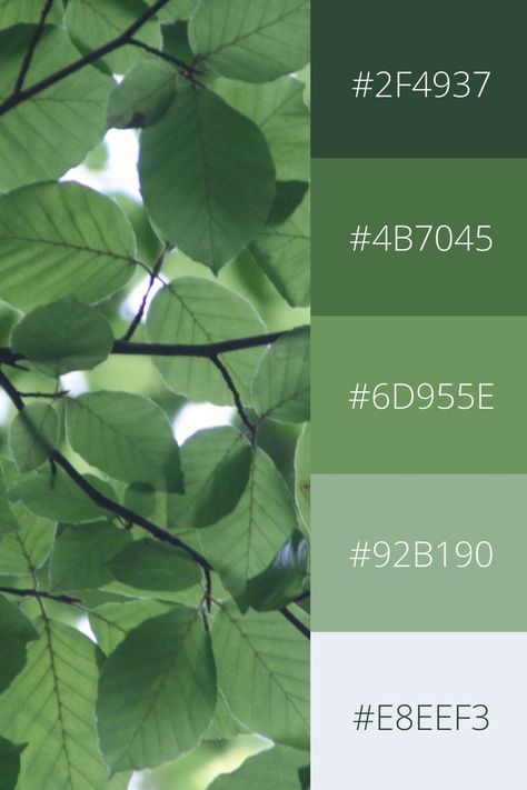 Color Palette Leaves, Green Earthy Palette, Tropical Tones Colour Palettes, Natural Tones Color Palette, Nature Pallete Colour Palettes, Green Moss Color Palette, Green Scale Color Palette, Green Colour Platette, Tropical Green Color Palette