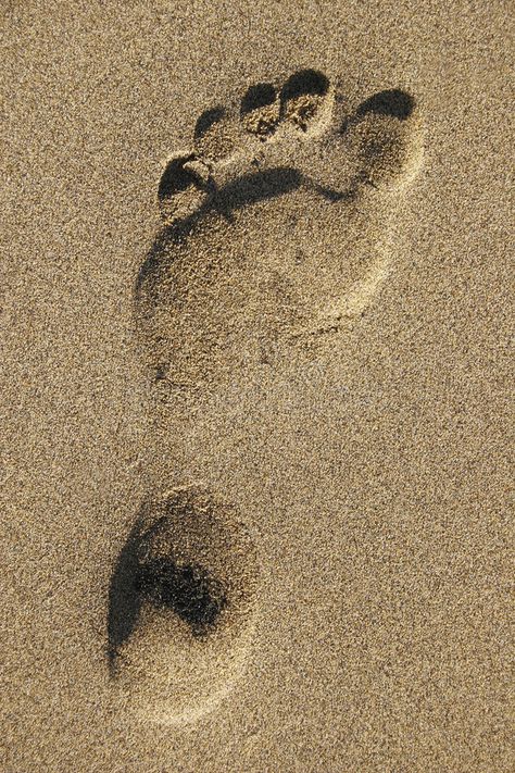 Footprint On Sand, Sand Logo, Sand Footprint, Sand Drawing, Beach Artwork, Footprint Art, A Court Of Mist And Fury, Stock Photography Free, Bible Art