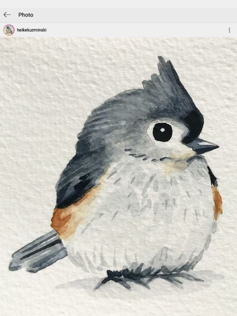 Watercolor Art Cute Animals, Simple Bird Watercolor, Easy Watercolor Birds For Beginners, How To Draw Animal Faces, Watercolor Bird Art, Animal Watercolor Easy, Whimsy Art Ideas, Bird Painting Watercolor, How To Paint A Bird