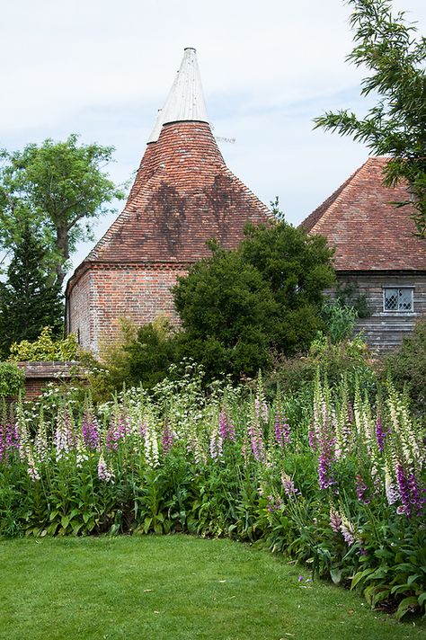 Foxgloves, Great Dixter | Alan Buckingham British Gardens, Great Dixter, British Garden, Solar Garden, Cottage Garden, Garden Inspiration, Beautiful Gardens, Landscaping, Solar