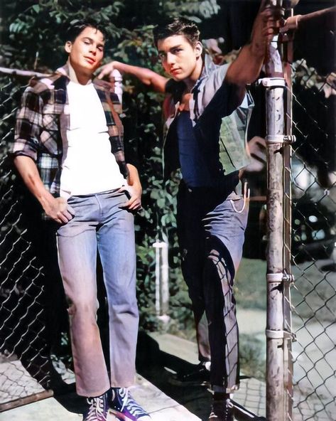 The Outsiders Steve, Rob Lowe 80s, The Outsiders Sodapop, Outsiders Imagines, Video Clothes, Rumble Fish, Outsiders Cast, Outsiders Greasers, The Outsiders Imagines