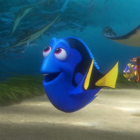 2 Finding Nemo Connections You May Have Missed in Finding Dory Halloween Character Ideas, Blue Disney Characters, Nemo Movie, Baby Dory, Dory Fish, Dory Finding Nemo, Dory Nemo, Blue Tang, Disney Nursery