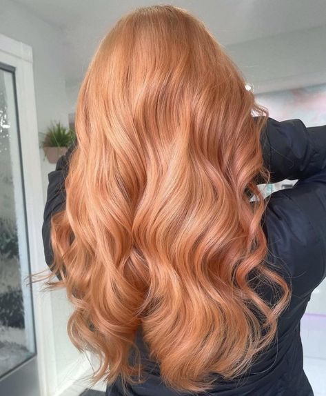 Strawberry Blonde Hair Brown Eyes, Barbie Litdh, Strawberry Blonde Hair Color Ideas, Natural Strawberry Blonde Hair, Dark Strawberry Blonde Hair, Reddish Blonde Hair, Hair Colors And Styles, Strawberry Blond, Dark Strawberry Blonde