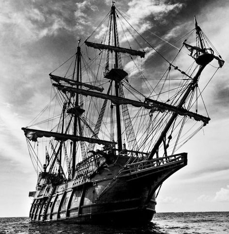 Jack Sparrow Wallpaper, Black Pearl Ship, Dog Collage, Jamie Anderson, Pearl Wallpaper, Kaptan Jack Sparrow, Transportation Art, Pirate Art, Black Sails