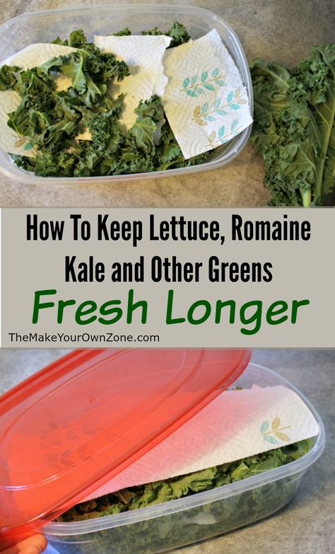 How To Keep Lettuce, Romaine, Kale and other greens fresh longer Storing Romaine Lettuce In Fridge, How To Store Kale In The Fridge, How To Keep Romaine Lettuce Fresh, How To Store Romaine Lettuce In Fridge, How To Keep Lettuce Fresh Longer, Storing Lettuce, Food Saver Hacks, Veggie Storage, Lettuce Romaine