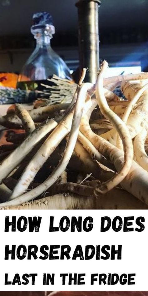 Horseradish How To Store Horseradish Root, What To Do With Horseradish Root, How To Preserve Horseradish Root, Horseradish Root Recipes, How To Make Horseradish, Growing Horseradish, Homemade Horseradish, Horseradish Recipes, Food Shelf Life