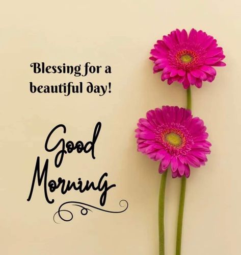 Daily Wishes, Good Morning Msg, Quotes Morning, Good Morning Greeting Cards, Quotes Good Morning, Good Morning Sweetheart Quotes, Beautiful Morning Quotes, Good Morning Happy Sunday, Happy Morning Quotes