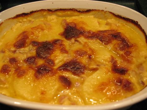 Ham and Potatoes Au Gratin Velveeta Potatoes, Au Gratin Potato Casserole, Ham And Potatoes, Potatoes With Ham, Au Gratin Potato Recipes, Au Gratin Recipes, Potatoes Au Gratin, Potatoe Casserole Recipes, Hash Brown