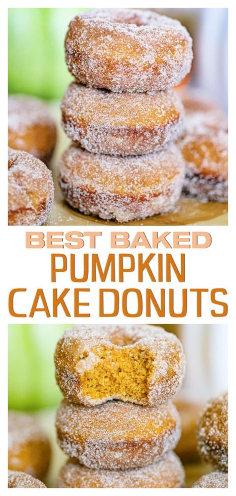 Pumpkin Donuts Baked, Types Of Bellies, Pumpkin Donuts Recipe, Doughnut Recipe Easy, Cake Donuts Recipe, Homemade Donuts Recipe, Baked Donut Recipes, Pumpkin Spice Donut, Fluffy Cake