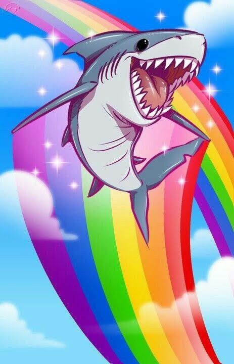 wallpapers / rainbow shark Wallpapers Rainbow, Rainbow Shark, Shark Wallpaper, Cute Rainbow, Sharks, Wallpapers, Rainbow