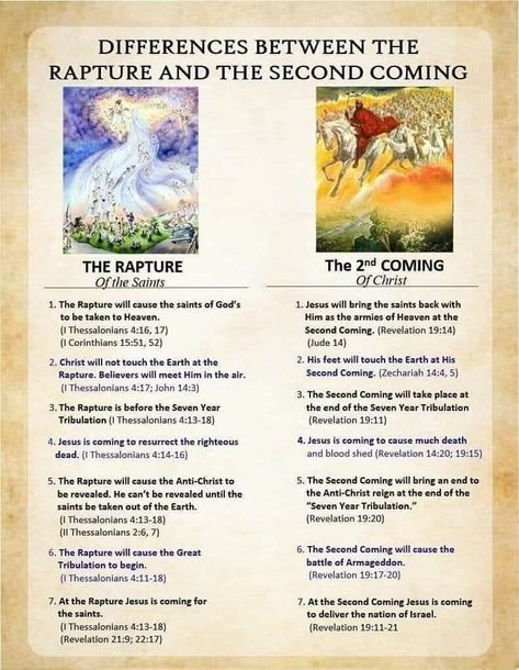 Rapture Verses, Spiritual Warfare Verses, Rapture Quotes, Rapture Bible, Bible Verse Vinyl, Revelation Bible Study, Bible Crafts Sunday School, Revelation 19, Revelation Bible