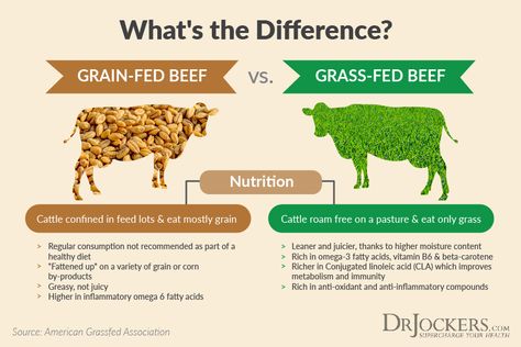 Mineral Rich Foods, Brain Foods, Healing Diet, Plant Based Burgers, Organic Meat, Beef Cattle, Cattle Farming, Food Additives, Inflammatory Foods