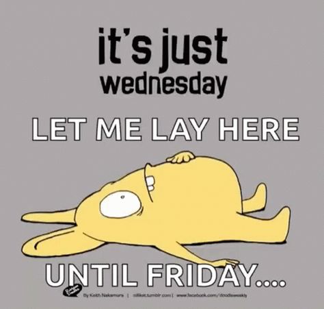 Its Just Wednesday Its Only Wednesday GIF - Its Just Wednesday Its Only Wednesday Bored - Discover & Share GIFs Wednesday Memes Humor, It’s Wednesday, Hump Day Gif, Wednesday Gif, Morning Funnies, Funny Wednesday Quotes, Wednesday Mood, Wednesday Memes, Wednesday Humor