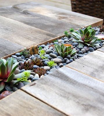 Nine Red: Pinterest Picks: Succulent Furniture Wood Table Diy, Succulent Garden Design, Edging Ideas, Outdoor Diy Projects, Have Inspiration, Garden Edging, Cactus Y Suculentas, Succulents Diy, Succulents Garden