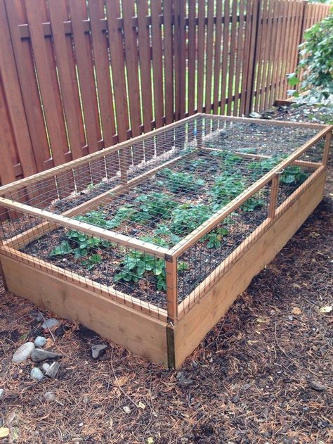 Vegetable Garden Beds, Raised Vegetable Gardens, Vegetable Garden Raised Beds, Small Vegetable Gardens, Vegetable Garden For Beginners, Garden Types, Veg Garden, Have Inspiration, Vegetable Garden Design