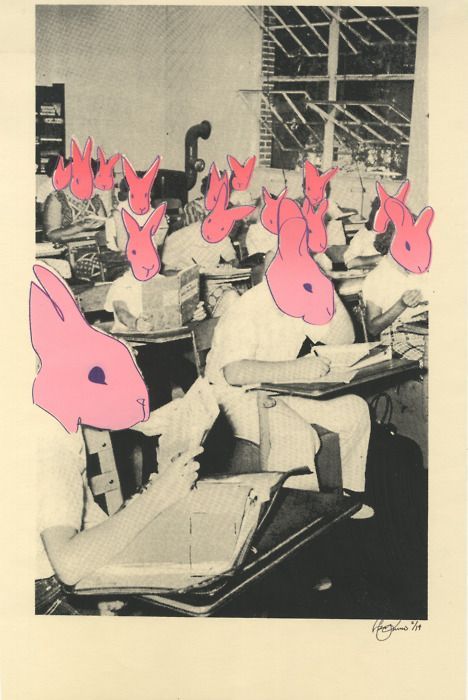 Visuell Identitet, Collage Kunst, Photoshop Images, Arte Inspo, Art Graphique, Art Plastique, Grafik Design, Rabbits, Collage Art