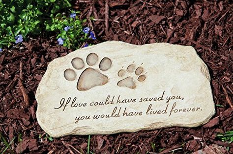 12 Touching Pet Memorial Stones: In Memory Of Pet Tributes Pet Memorial Garden, Memorial Garden Stones, Evergreen Garden, Wildlife Garden, Pet Memorial Stones, Pet Paw Print, Personalized Pet Memorial, Memorial Tattoo, Memorial Stones