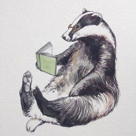 Honey Badger Drawing, Badger Drawing, Badger Tattoo, Badger Art, Badger Illustration, Honey Badger, Animal Sketches, Arte Animal, Dog Drawing