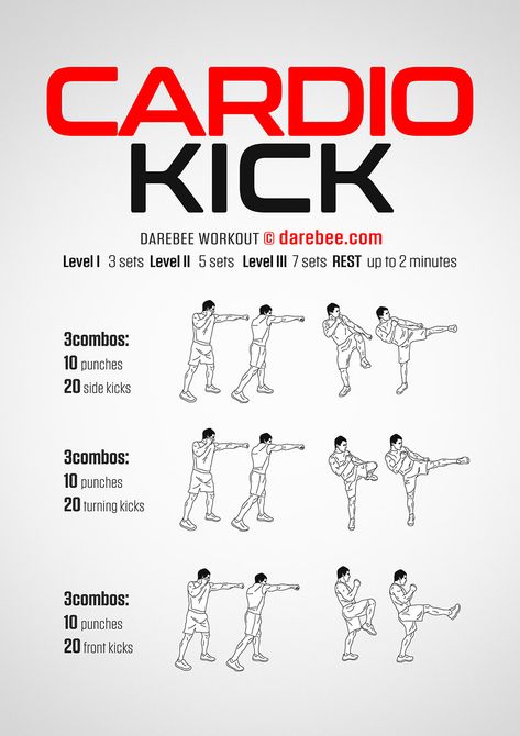 Cardio Kick Workout Kicking Workout, Kickboxing Workout Routine, Kick Workout, Cardio Kickboxing Workout, Cardio Workout Video, Boxing Workouts, Benefits Of Cardio, 6 Pack Abs Workout, Trening Sztuk Walki