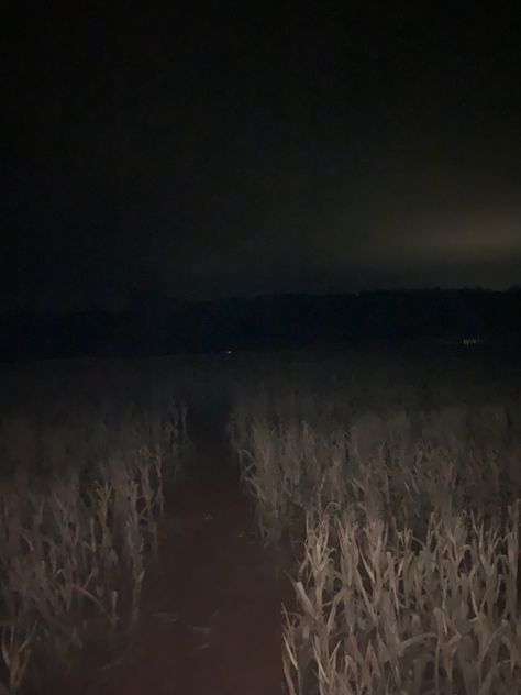 Horror Backgrounds Aesthetic, Halloween Corn Maze Aesthetic, Camcorder Footage Aesthetic, Indie Horror Game Aesthetic, Midwest Horror, Indie Horror Aesthetic, Western Emo, Backrooms Game, Corn Maze Aesthetic