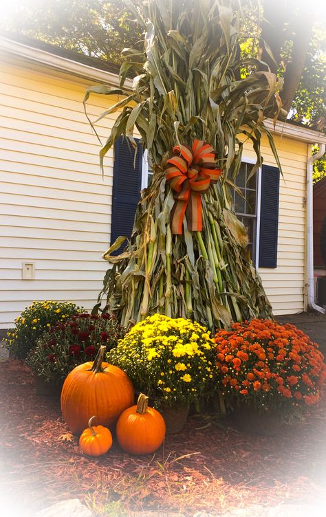 Six corn stalks around a xl planter, homemade fall bow Decorating With Corn Stalks, Corn Stalks Decorations, Fall Yard Decor, Primitive Fall Decor, Fall Yard, Fall Board, Fall Scenery, Rustic Sunflower Wedding, Thanksgiving Tree