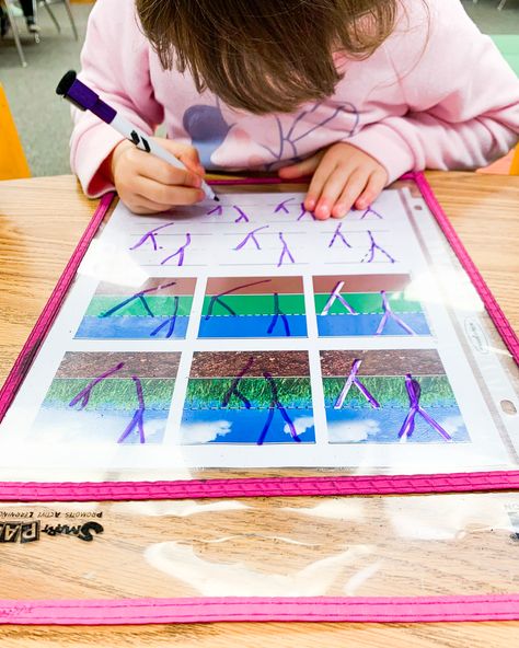 Grass Activities Preschool, Spring Handwriting Activities, Sky Grass Dirt Handwriting, Planting Grass Seed Preschool, Grass Letters Alphabet, Letter Formation, Letter Activities, Learning The Alphabet, Kindergarten Activities